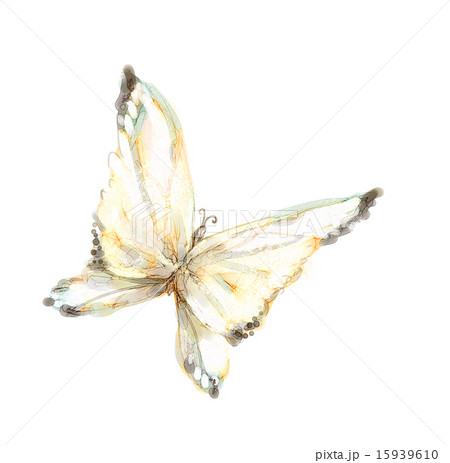 Pinting Works Object_0385 Pinting Works Object_0385 15939610