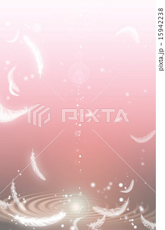 水面に舞い降りる羽 15942238