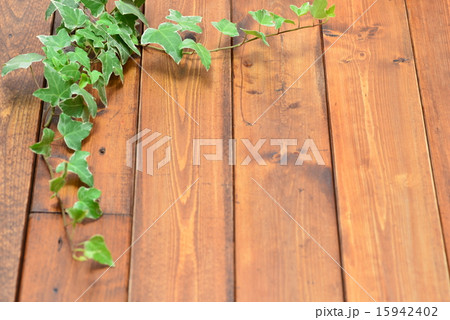 木の板にアイビー 木の板にアイビー 15942402
