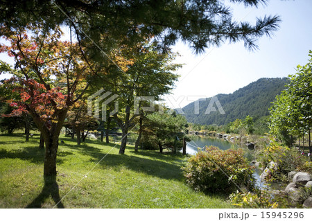 Llandscape_001 Llandscape_001 15945296