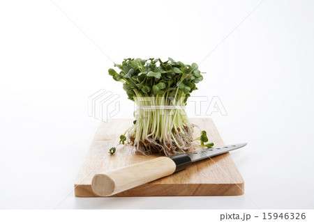 Healthy Food_148 15946326