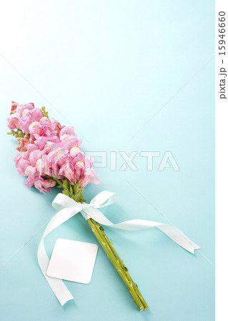 Baby Object_153 Baby Object_153 15946660