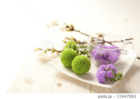 Spring & Green_053 Spring & Green_053 15947061