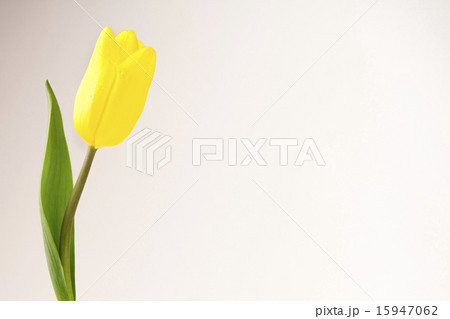 Spring & Green_055 Spring & Green_055 15947062