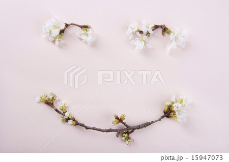 Spring & Green_077 Spring & Green_077 15947073
