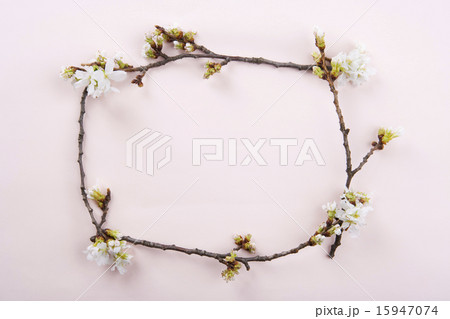 Spring & Green_079 Spring & Green_079 15947074