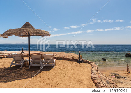 Beach at the luxury hotel, Sharm el Sheikh, Egypt 15950291