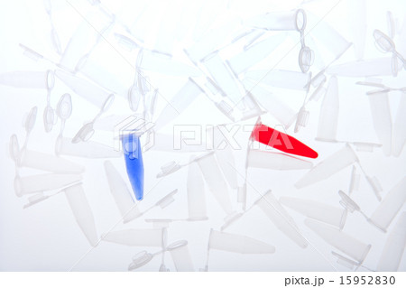 Science_098 Science_098 15952830