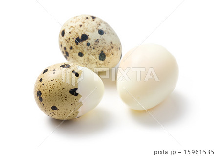 boiled quail eggs boiled quail eggs 15961535