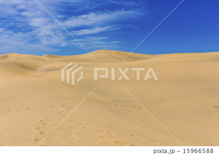 Maspalomas Duna - Desert in Canary island Gran Canaria Maspalomas Duna - Desert in Canary island Gran Canaria 15966588