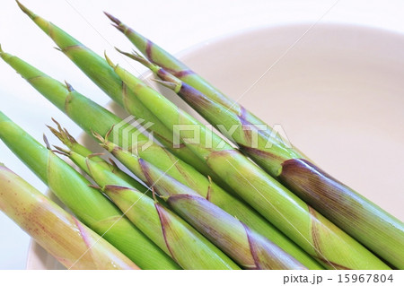 姫たけのこ 15967804