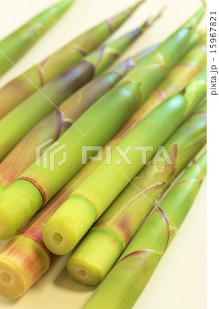姫たけのこ 姫たけのこ 15967821