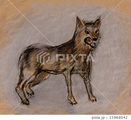 Wolf Wolf 15968042