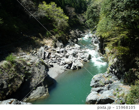 鳩ノ巣渓谷 15968105