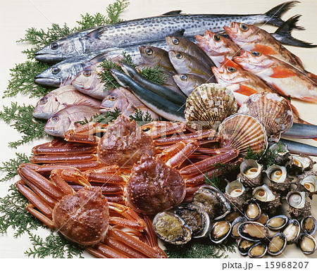 海の幸大集合 15968207