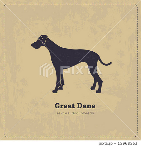 Great Dane stylized vector silhouette 15968563