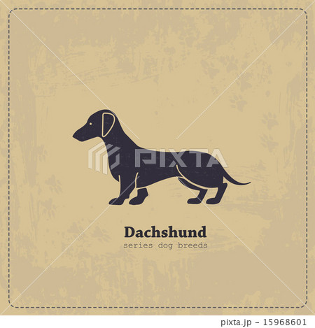 Vintage Dachshund poster Vintage Dachshund poster 15968601