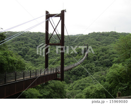 吊り橋 15969080