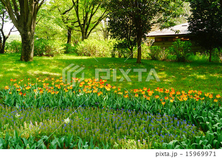 昭和記念公園 昭和記念公園 15969971