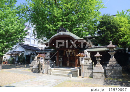 京都　東三条大将軍神社　本殿 15970097