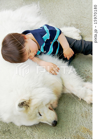 犬と子供の写真素材