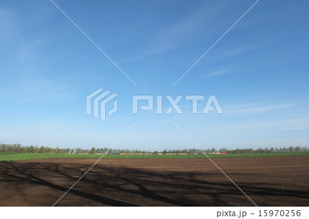 リトアニア、シャウレイの田舎風景 15970256