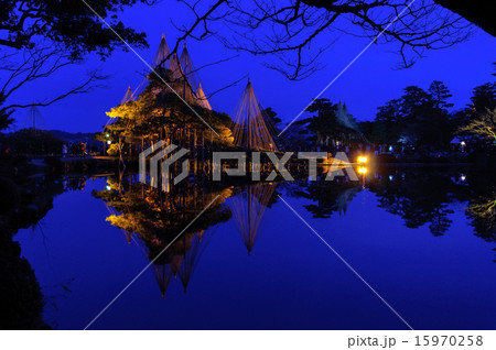 金沢市にある兼六園にてライトアップされた雪吊り1 15970258