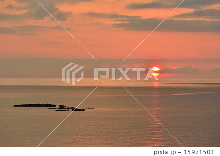 海 海 15971501