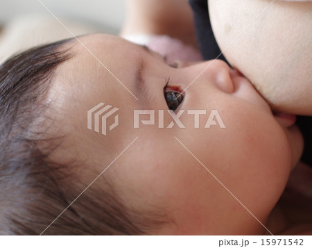 赤ちゃん（４か月） 15971542