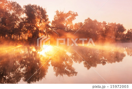 Fog on the river 15972003