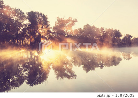 Fog on the river 15972005