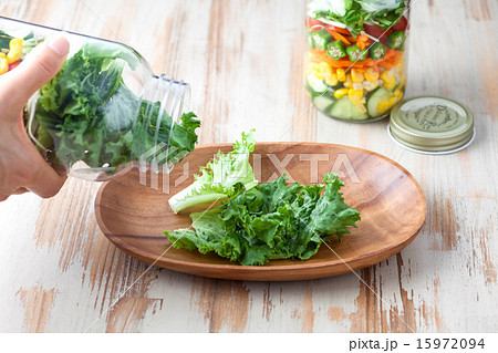 サラダ 15972094