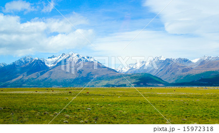 Summer Coming to foot of Mount Cook 15972318
