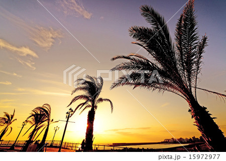 サンセット 15972977