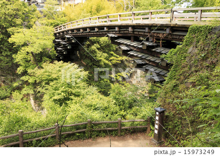 猿橋の新緑 15973249