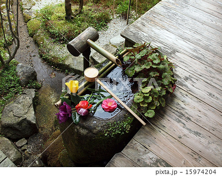 花の浮かぶ手水鉢 花の浮かぶ手水鉢 15974204