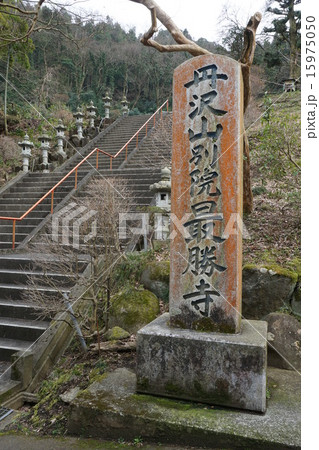 神奈川県　山北町　最勝寺の春 15975050