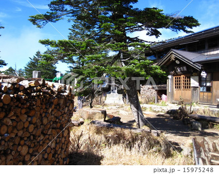 黒百合ヒュッテと丸太 15975248