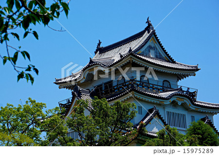 岸和田城天守閣 岸和田城天守閣 15975289