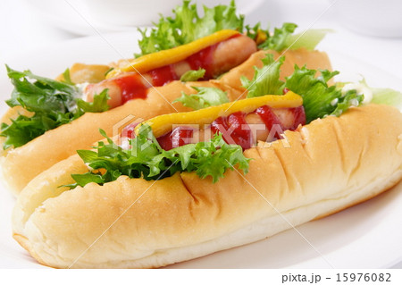 ホットドッグ 15976082