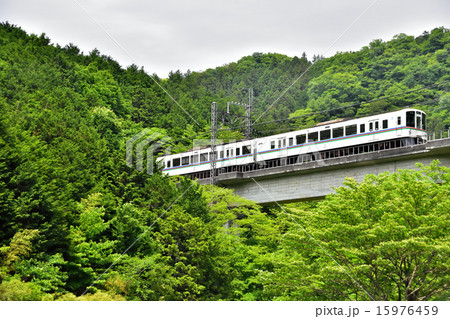新緑の西武秩父線 15976459