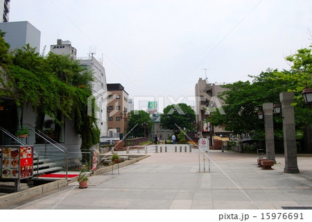 天神中央公園 15976691