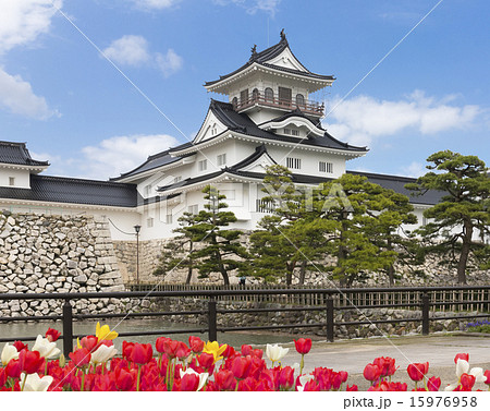 富山城 15976958