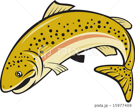 Rainbow Trout Jumping Cartoon Isolated 15977409