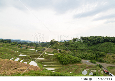 千早赤阪村の棚田 千早赤阪村の棚田 15977443