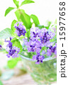 グラスに入れたラベンダーの花縦2 15977658
