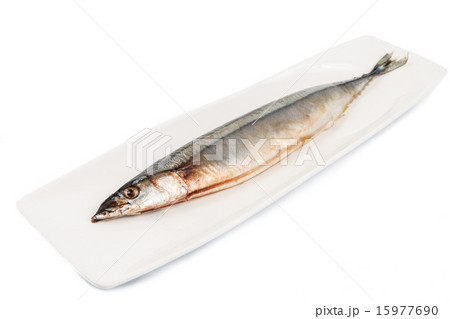 Fresh Japanese Sanma fish Fresh Japanese Sanma fish 15977690