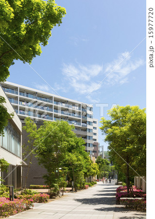 マンション 15977720