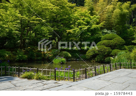 円通院・遠州の庭 15978443