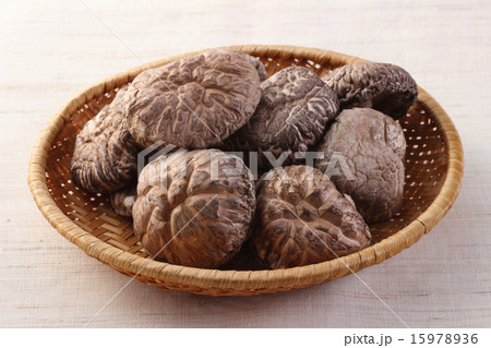 しいたけ 15978936